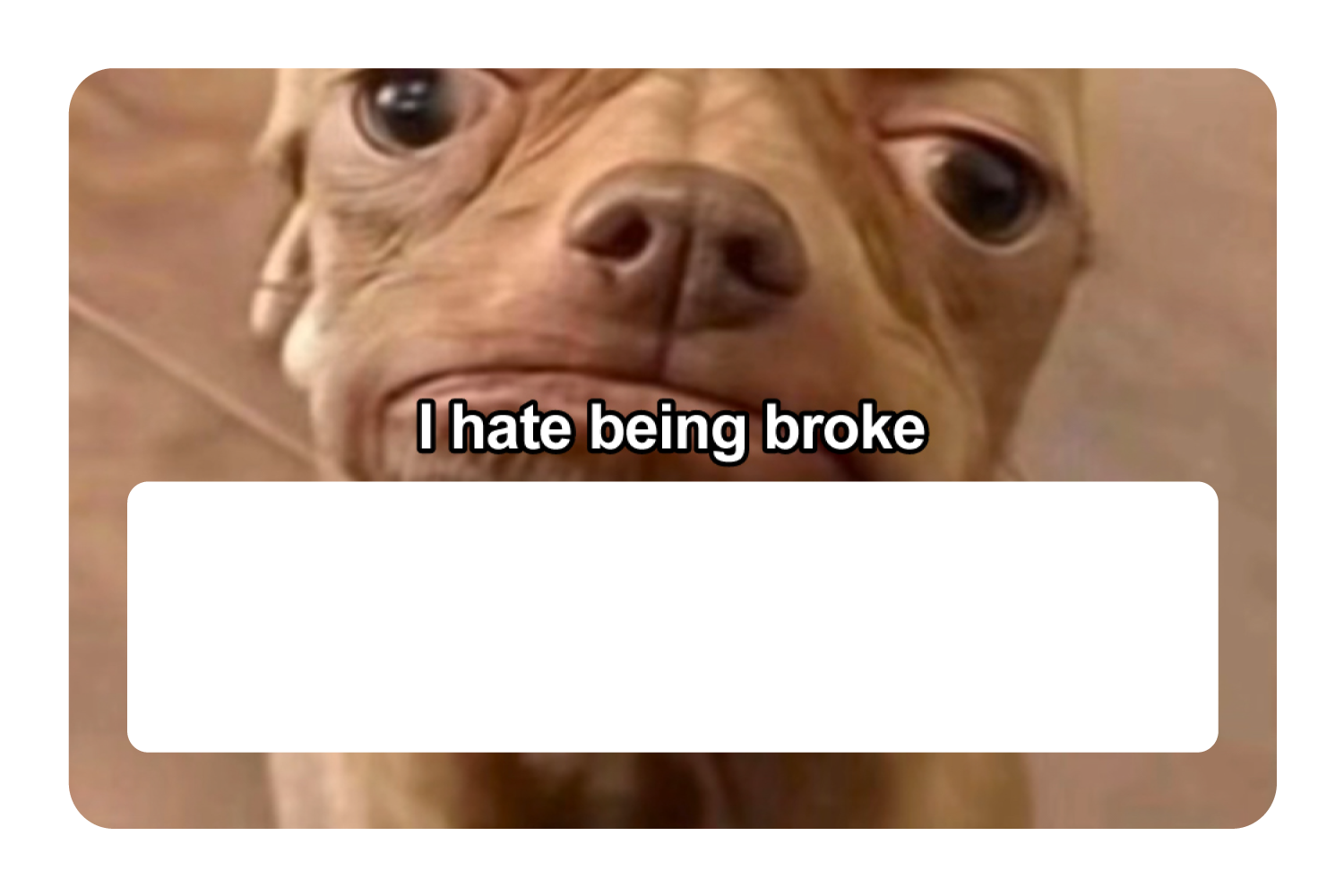 I Hate Being Broke