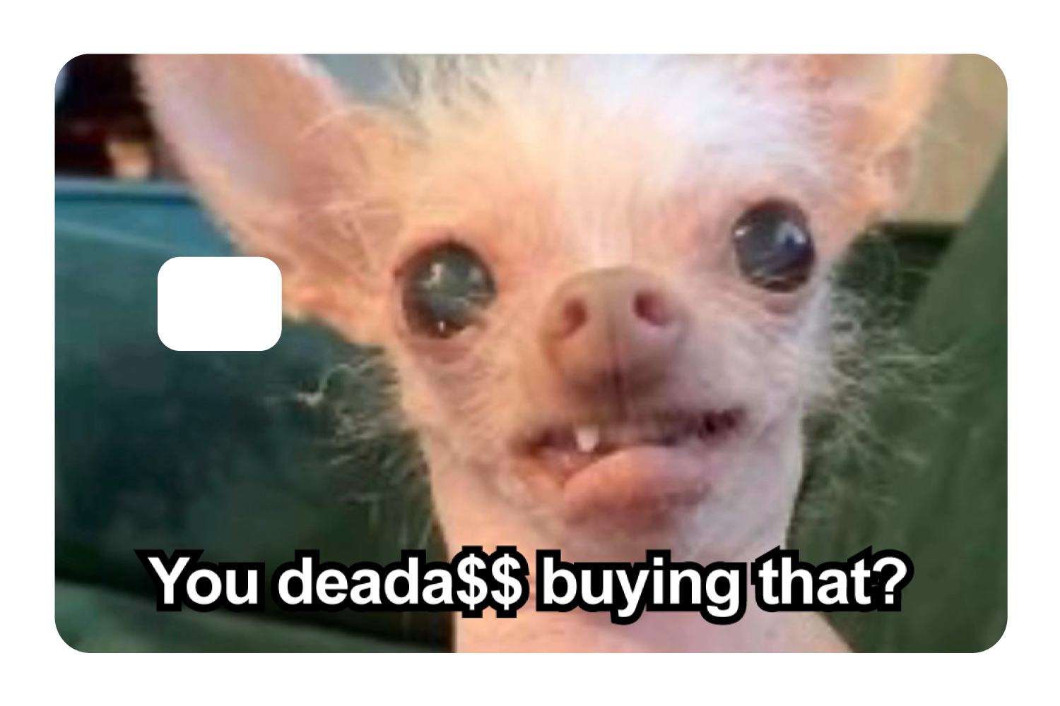 You Deada$$