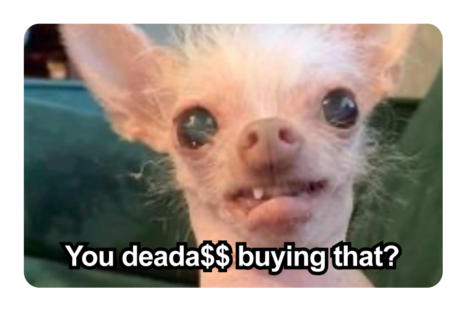 You Deada$$
