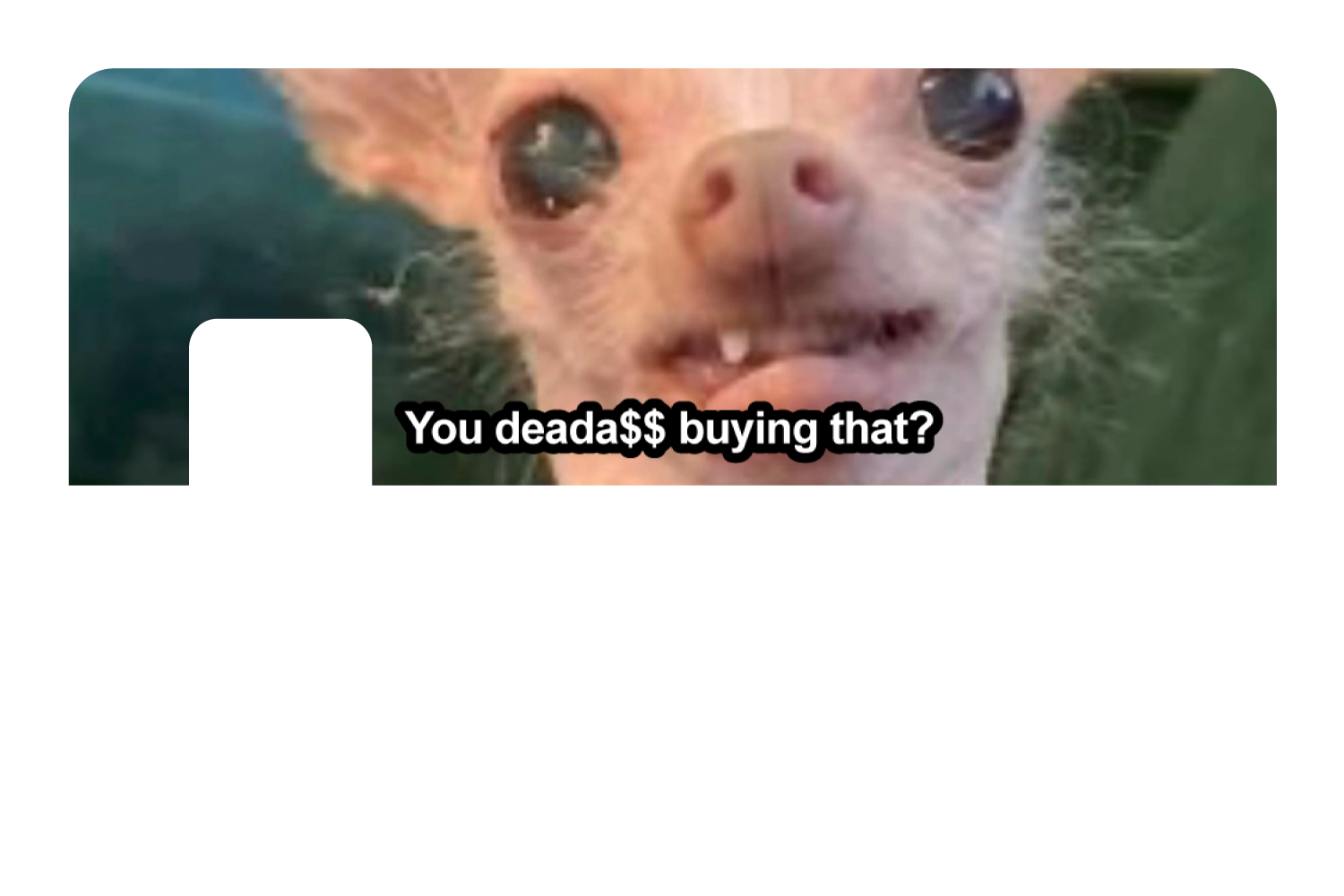 You Deada$$