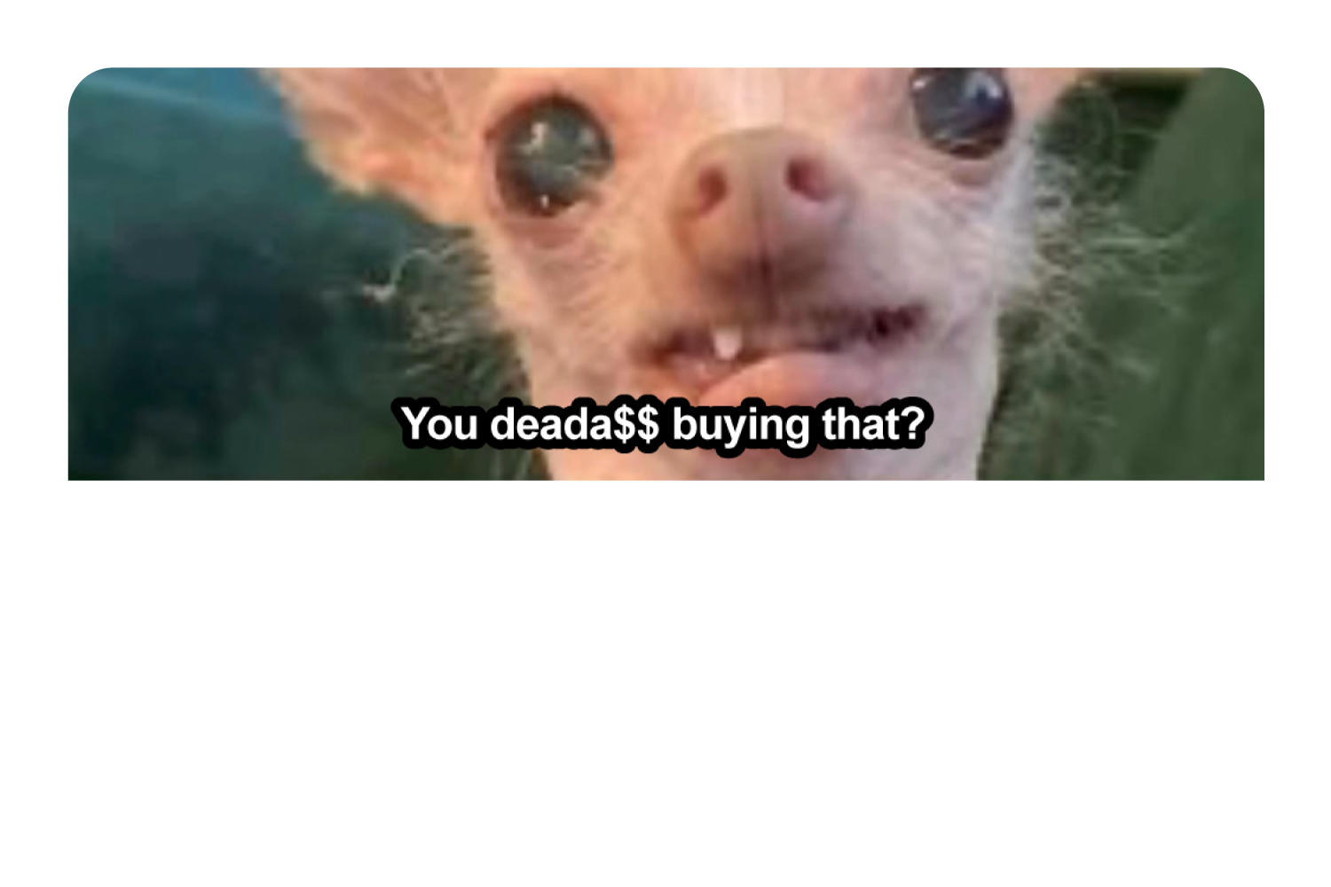 You Deada$$