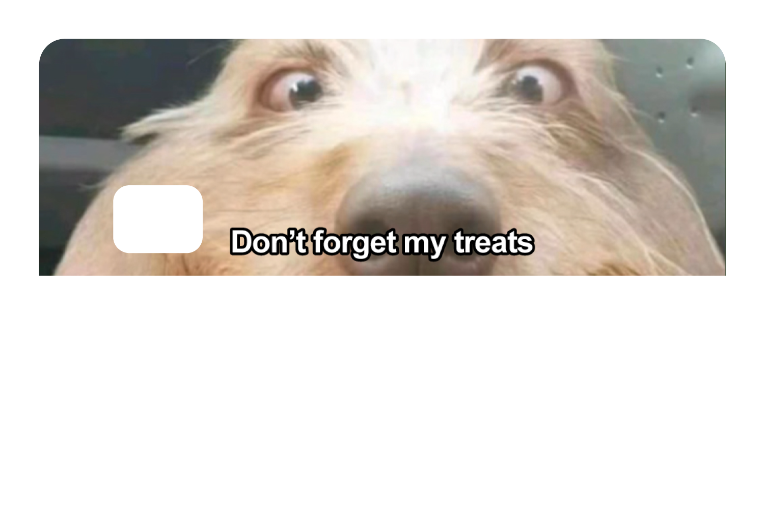 Don't Forget My Treats