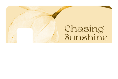 Chasing Sunshine