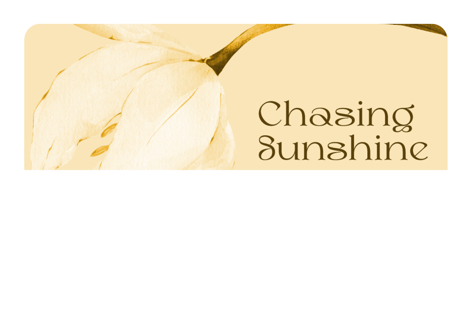 Chasing Sunshine