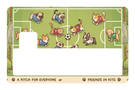 Cozy Soccer Match