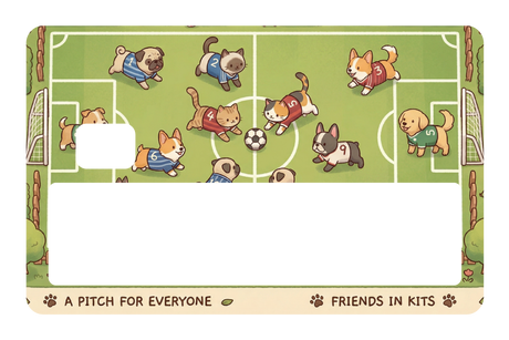 Cozy Soccer Match