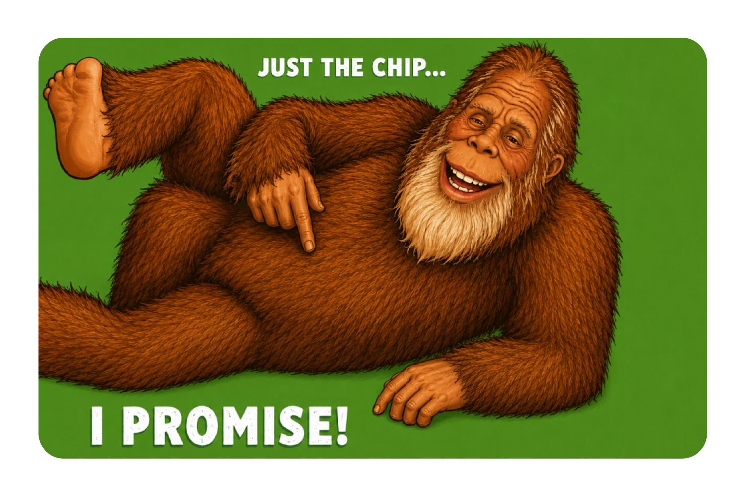 Just the chip