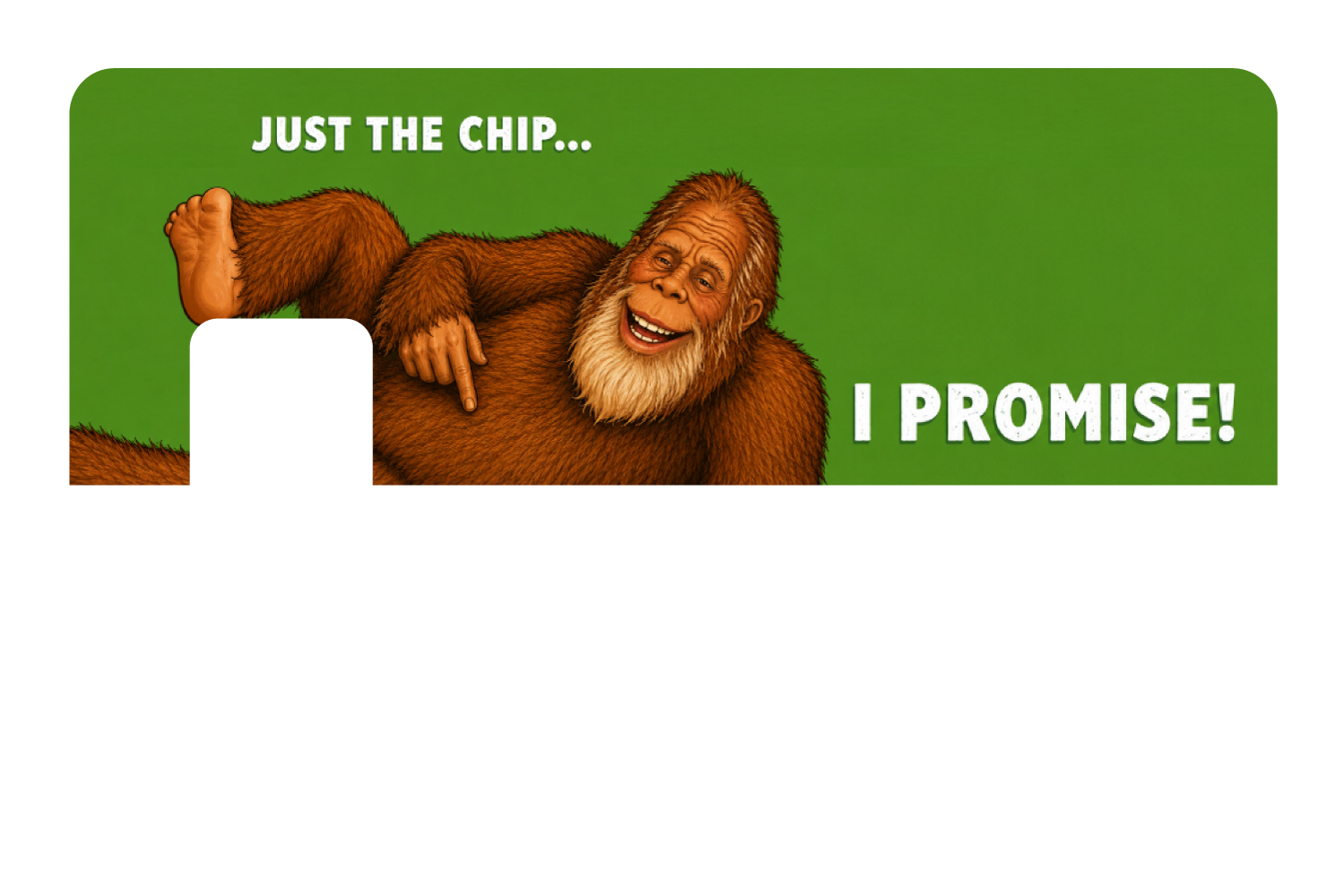 Just the chip