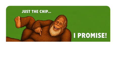 Just the chip