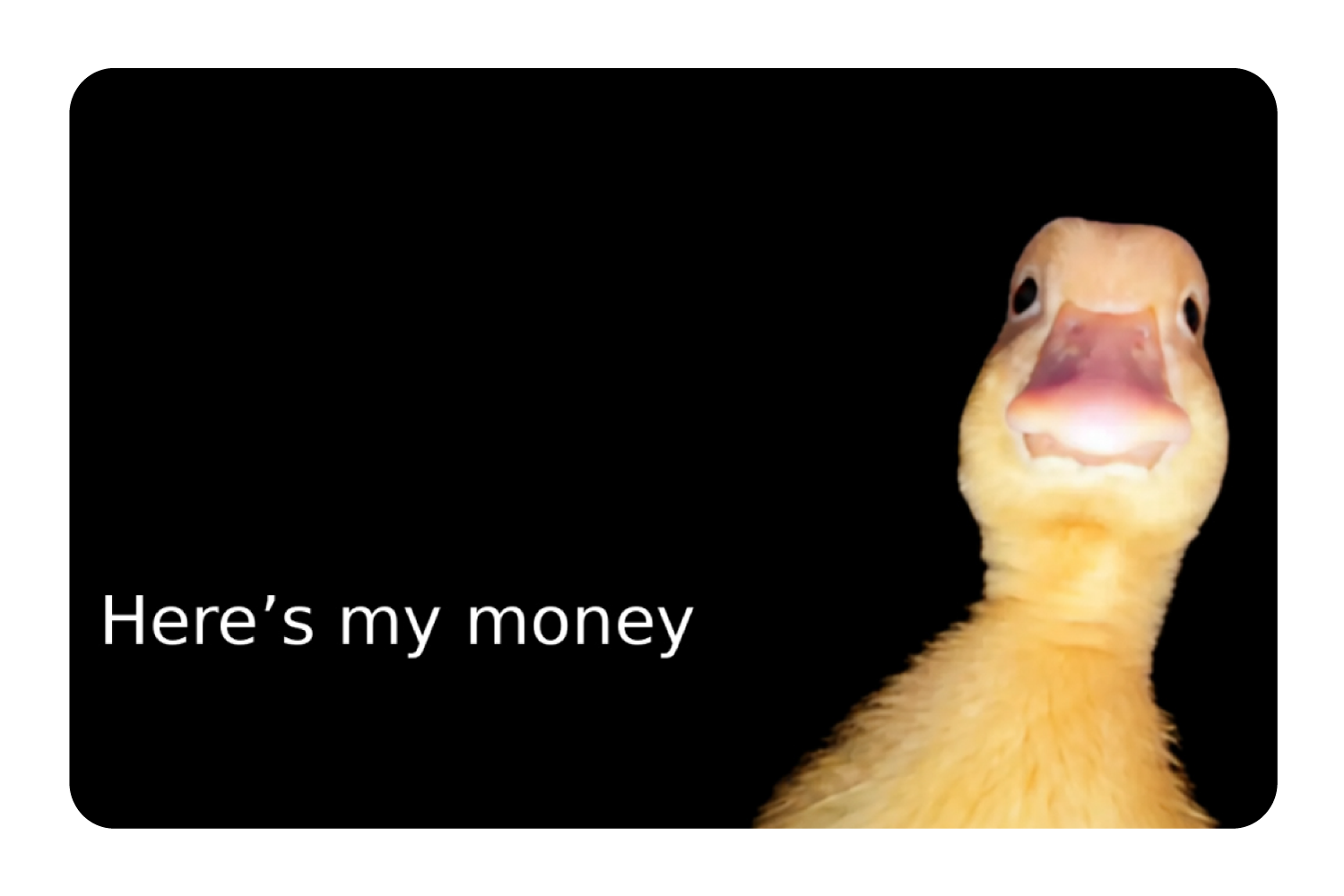 Here's the money