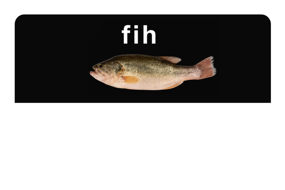 Fih