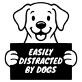 Easily Distracted
