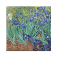 Irises Wall Art