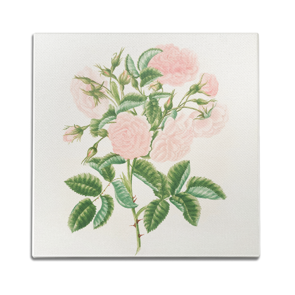Petals in Pink Wall Art