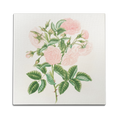 Petals in Pink Wall Art
