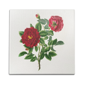 Dahlia Bloom Wall Art