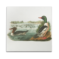 Ducks In A Pond Wall Art
