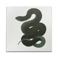 Black Racer Wall Art