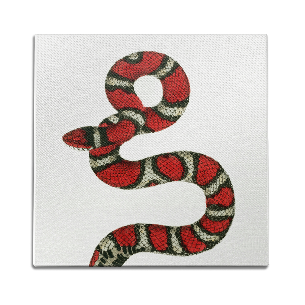 Milk Snake Wall Art