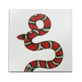Milk Snake Wall Art