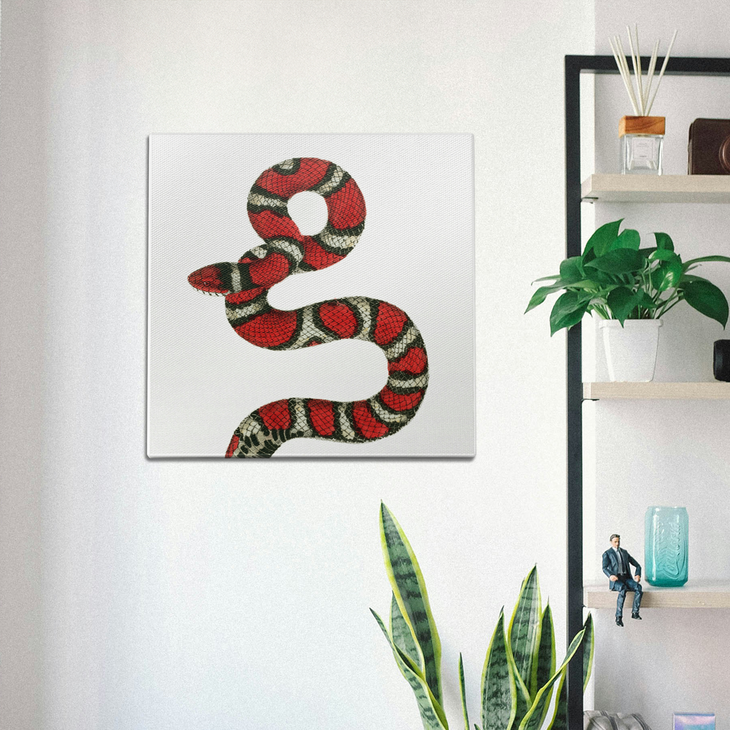 Milk Snake Wall Art