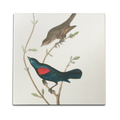 At The Tree Top Wall Art