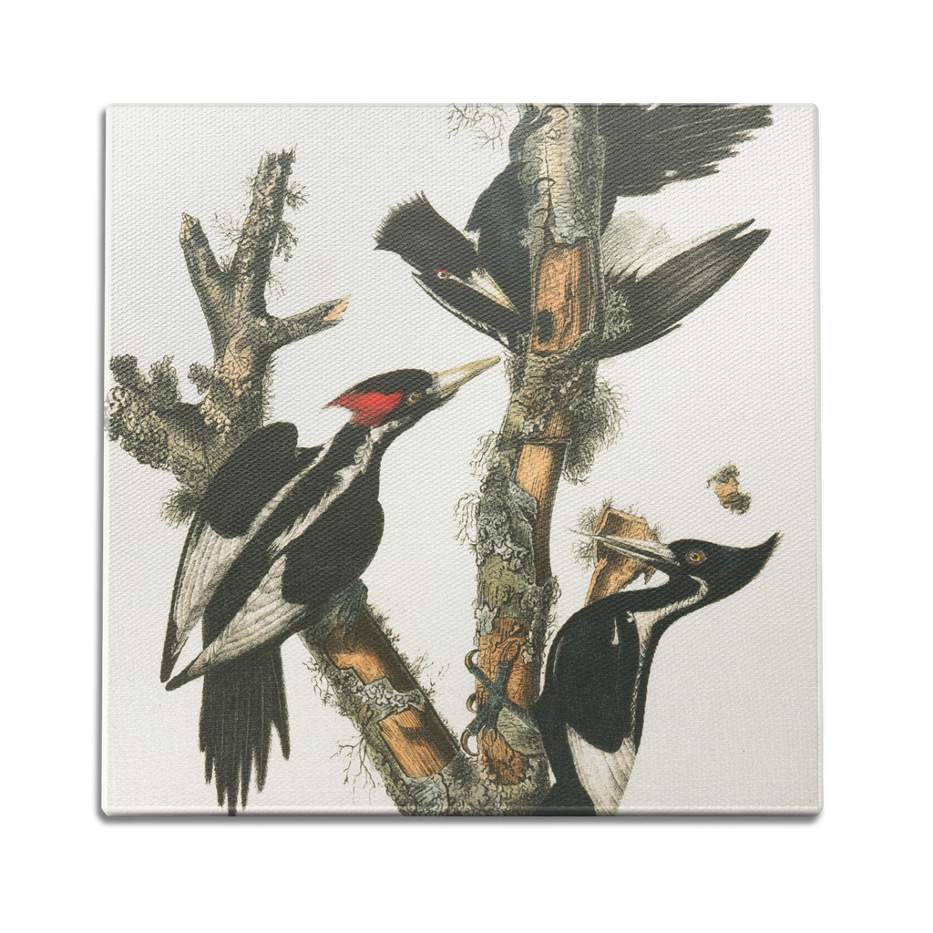 Wood Peckers Wall Art