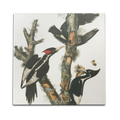 Wood Peckers Wall Art