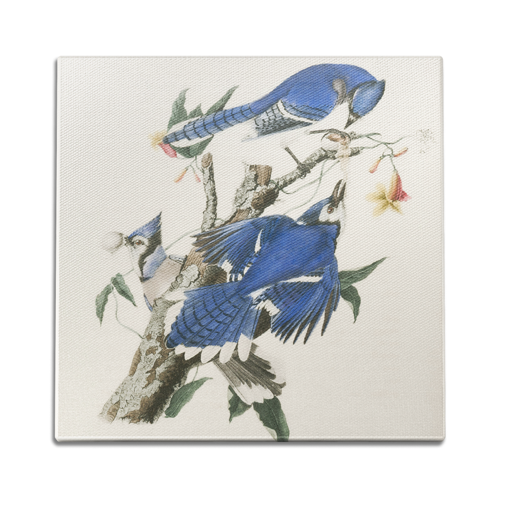 Blue Jays Wall Art