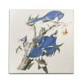 Blue Jays Wall Art