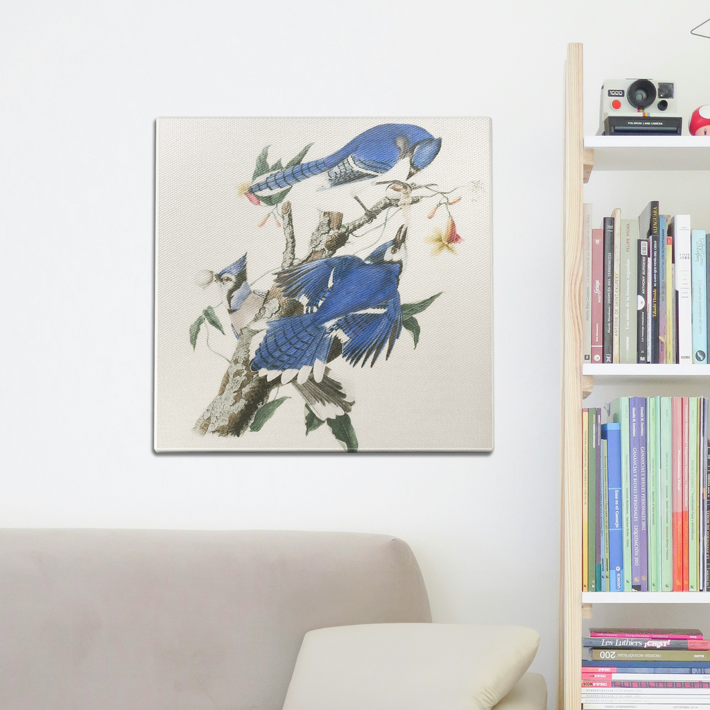 Blue Jays Wall Art