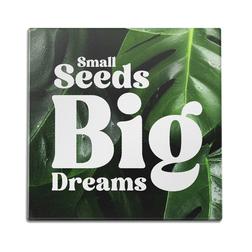Small Seeds Wall Art