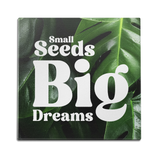 Small Seeds Wall Art