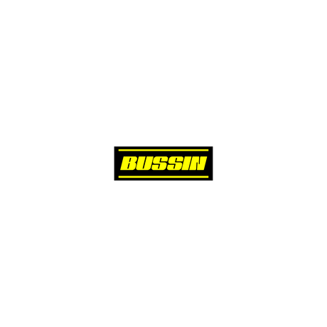 Bussin