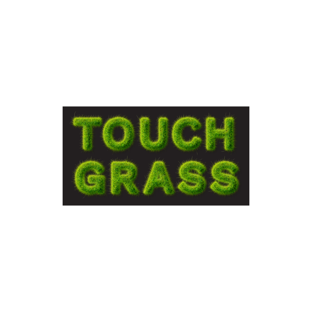 Touch Grass