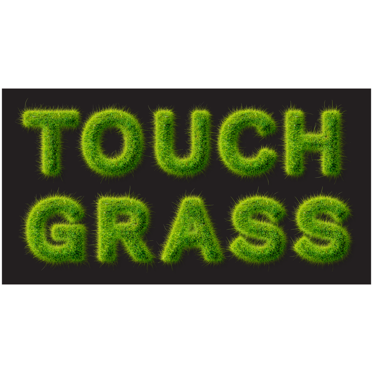 Touch Grass