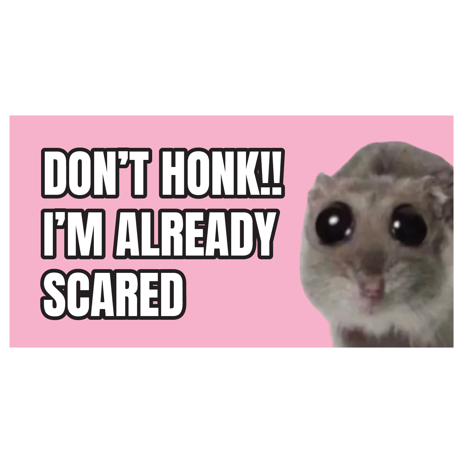 Don't Honk I'm Already Scared
