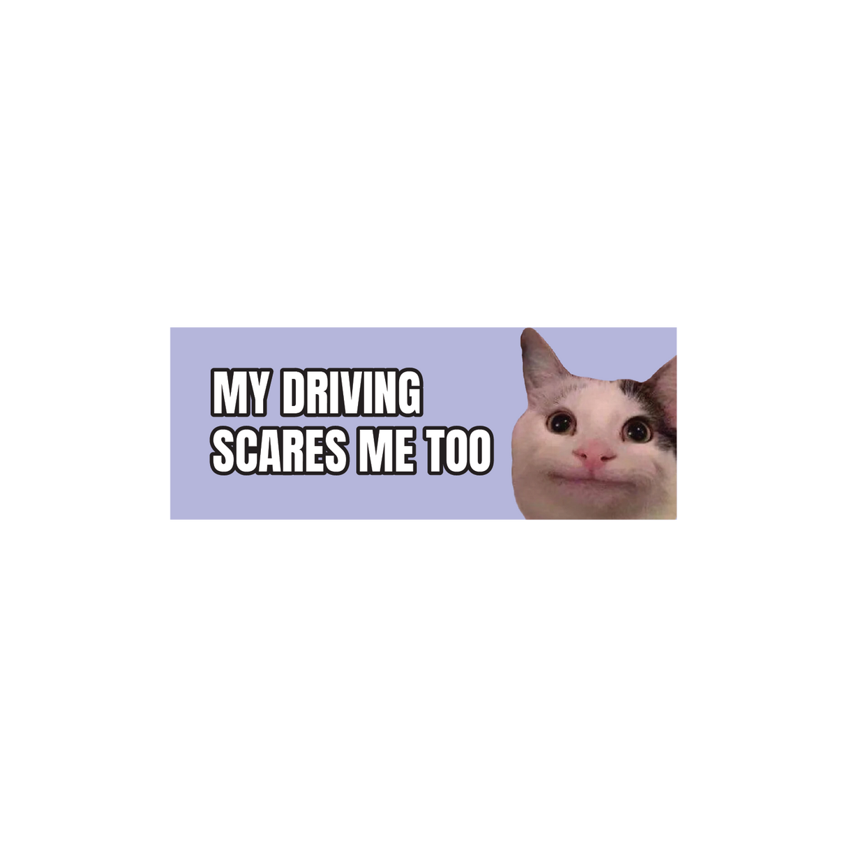 My Driving Scares Me Too Cat