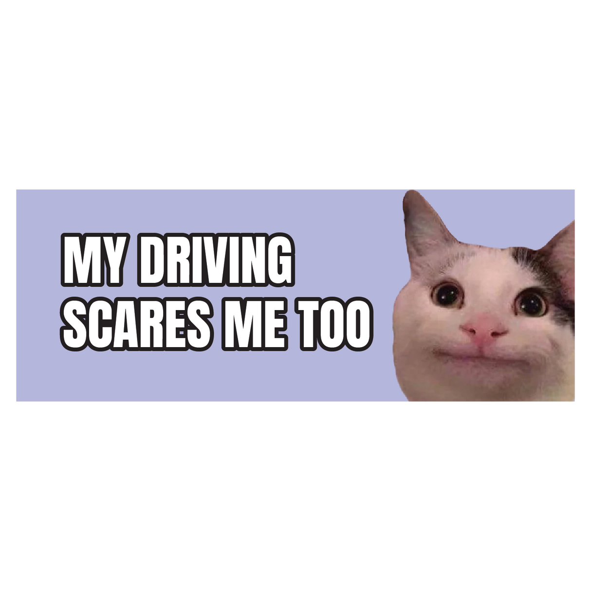 My Driving Scares Me Too Cat