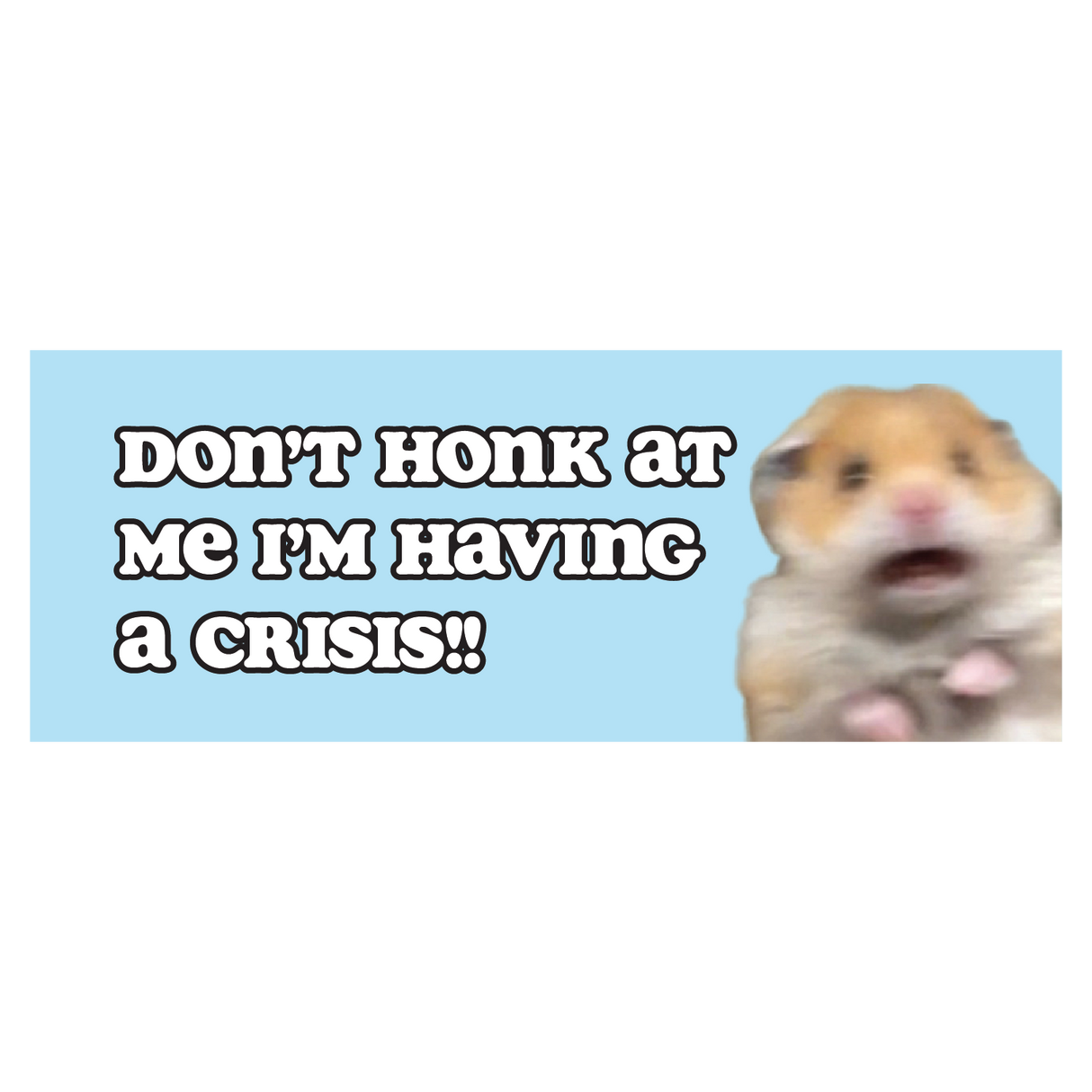 Don't Honk at Me I'm Having A Crisis