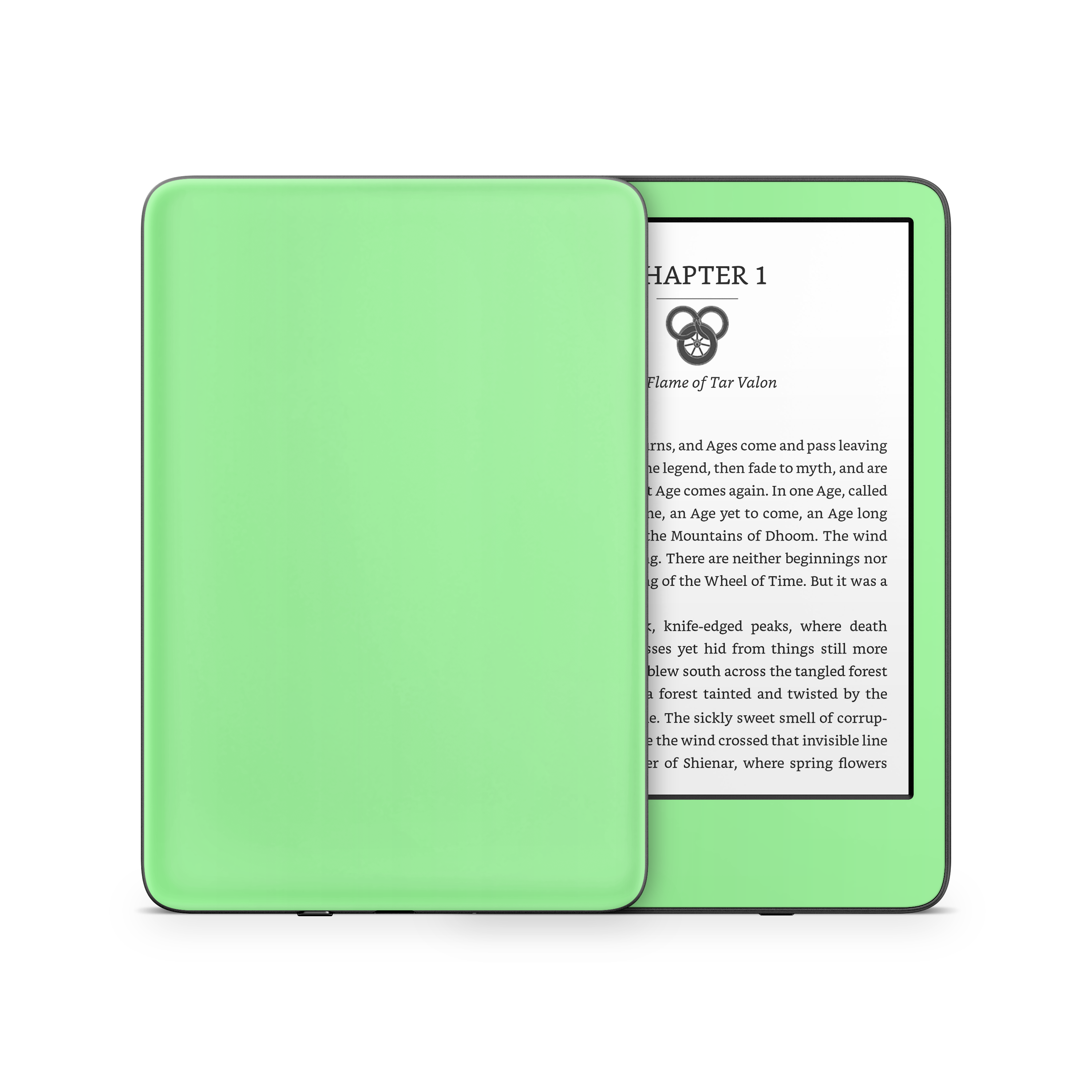 Mint Green Kindle eReader Skin