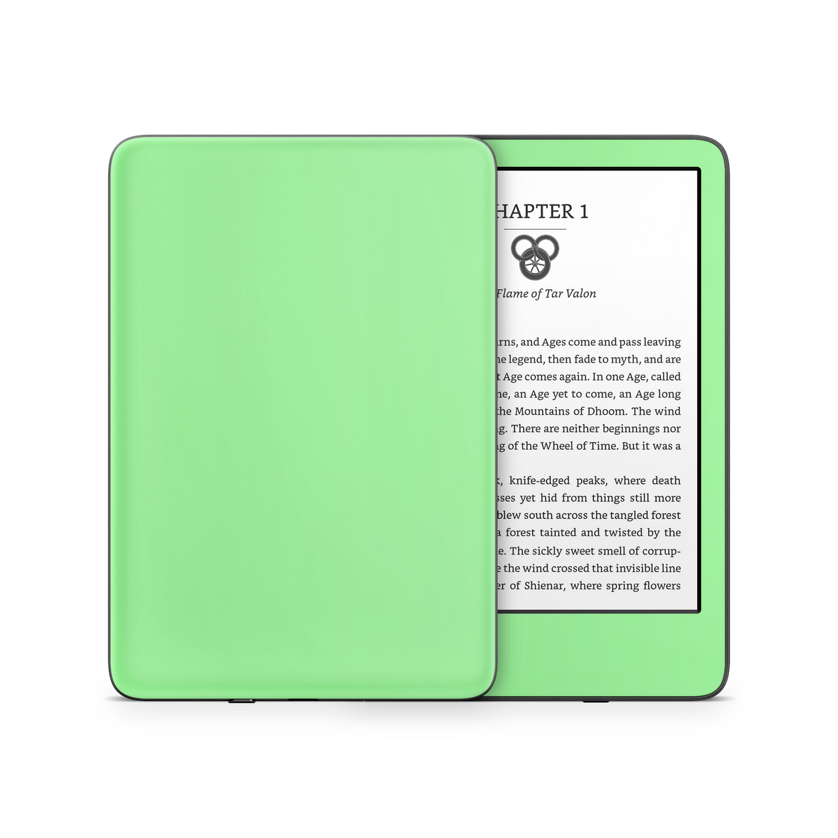 Mint Green Kindle eReader Skin