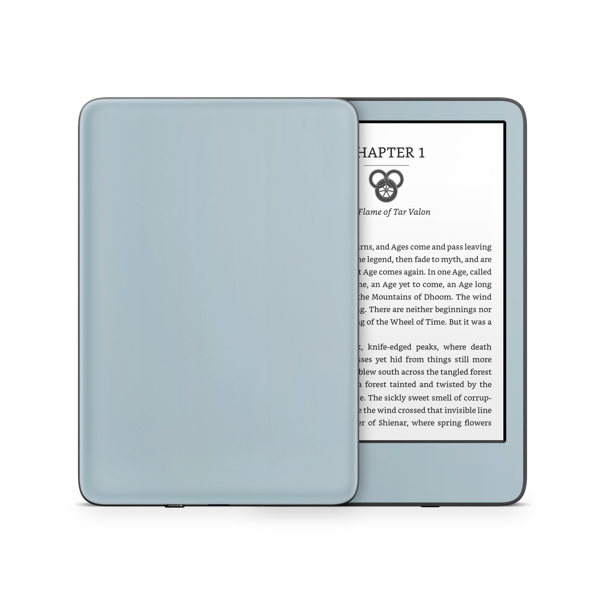 Baby Blue Kindle eReader Skin
