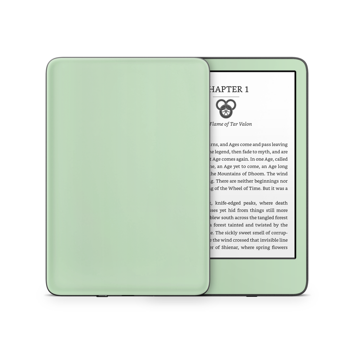 Pale Mint Kindle eReader Skin