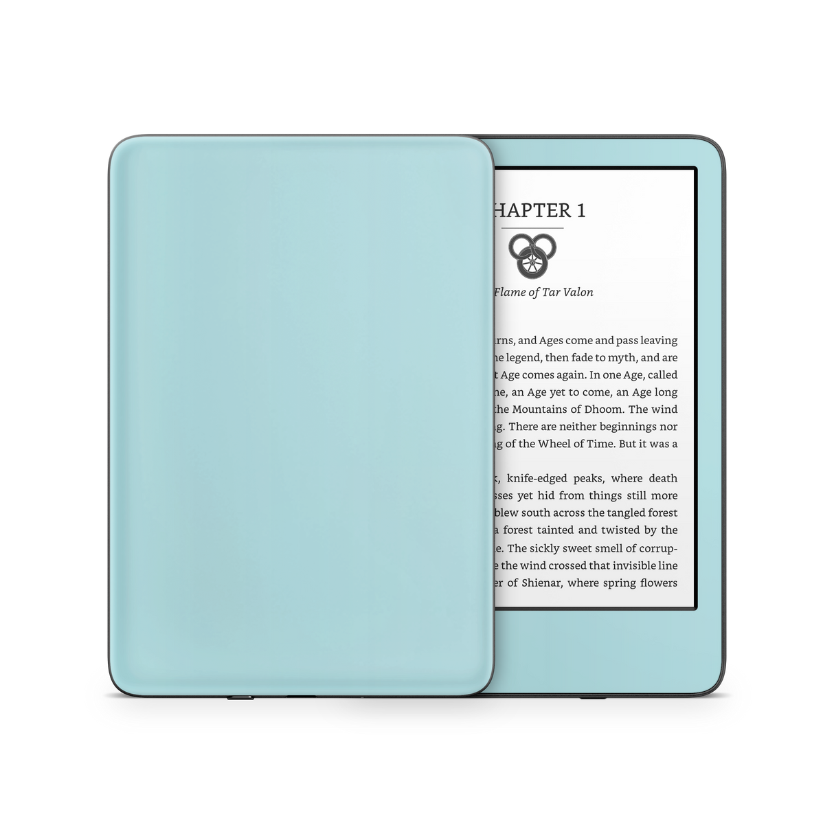 Powder Blue Kindle eReader Skin