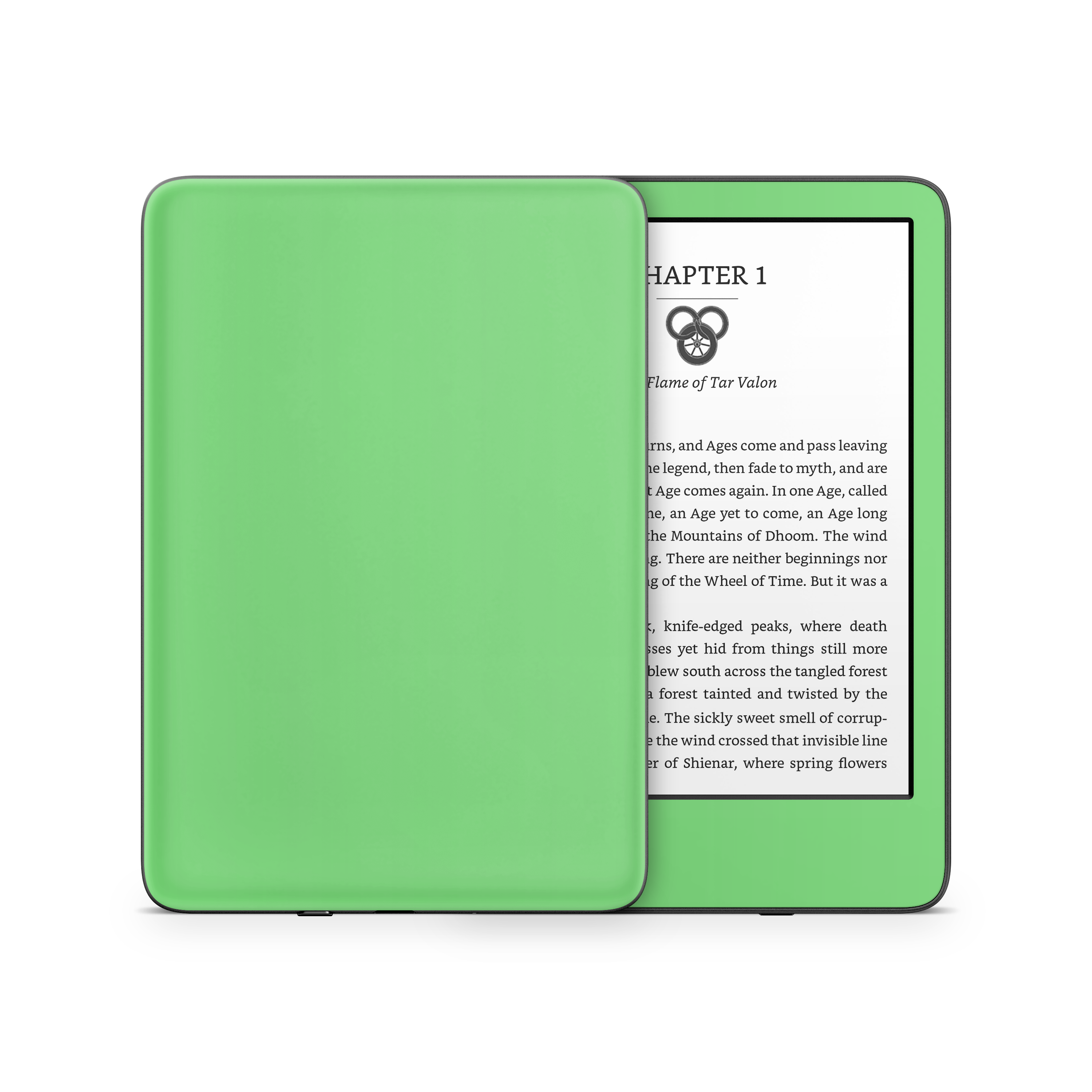 Pastel Green Kindle eReader Skin