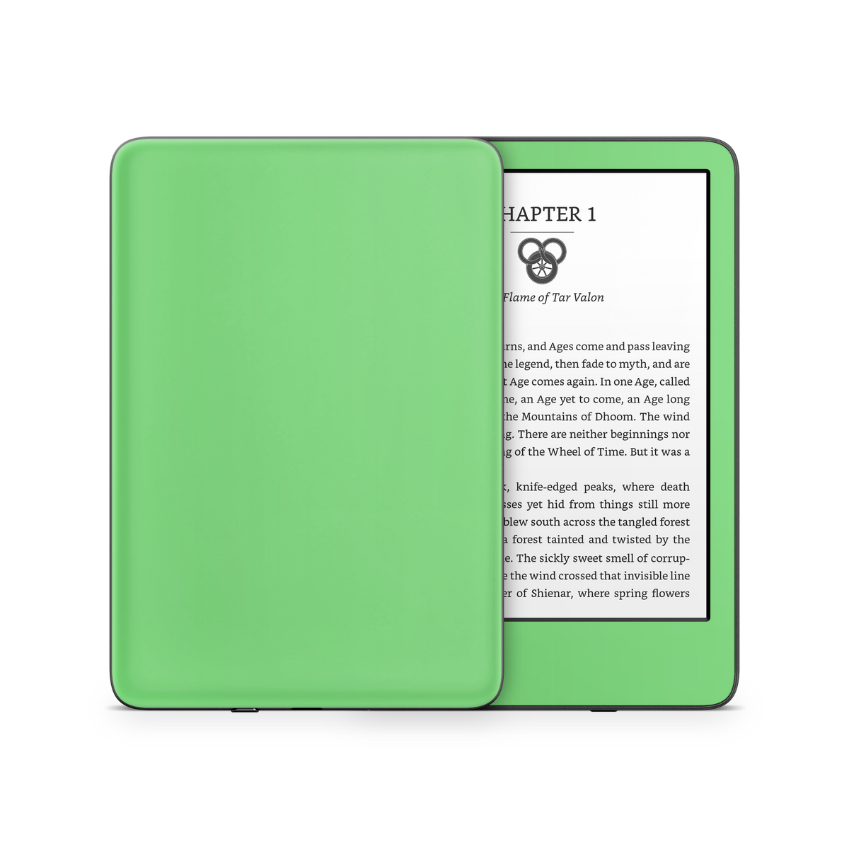 Pastel Green Kindle eReader Skin