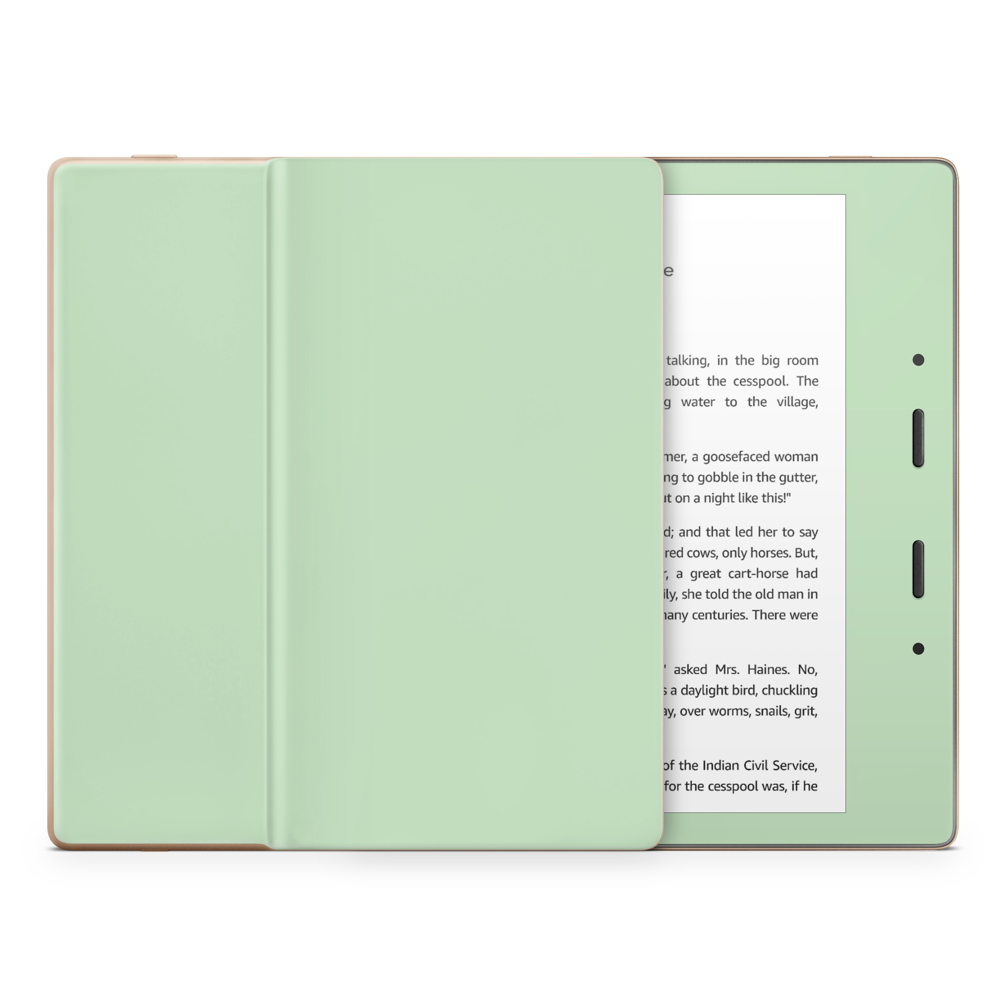 Pale Mint Kindle eReader Skin