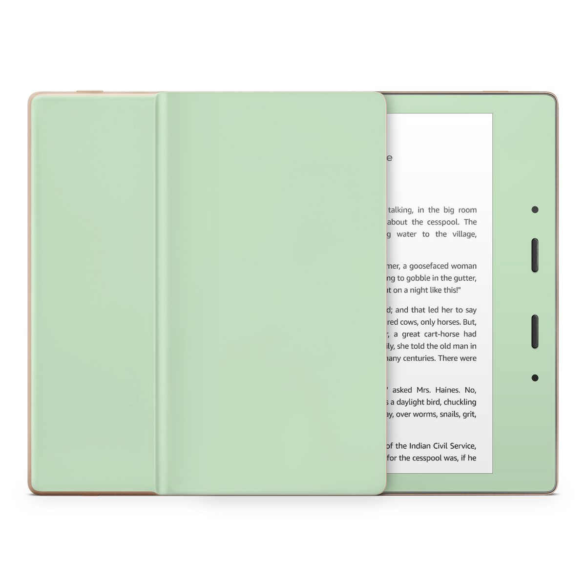 Pale Mint Kindle eReader Skin