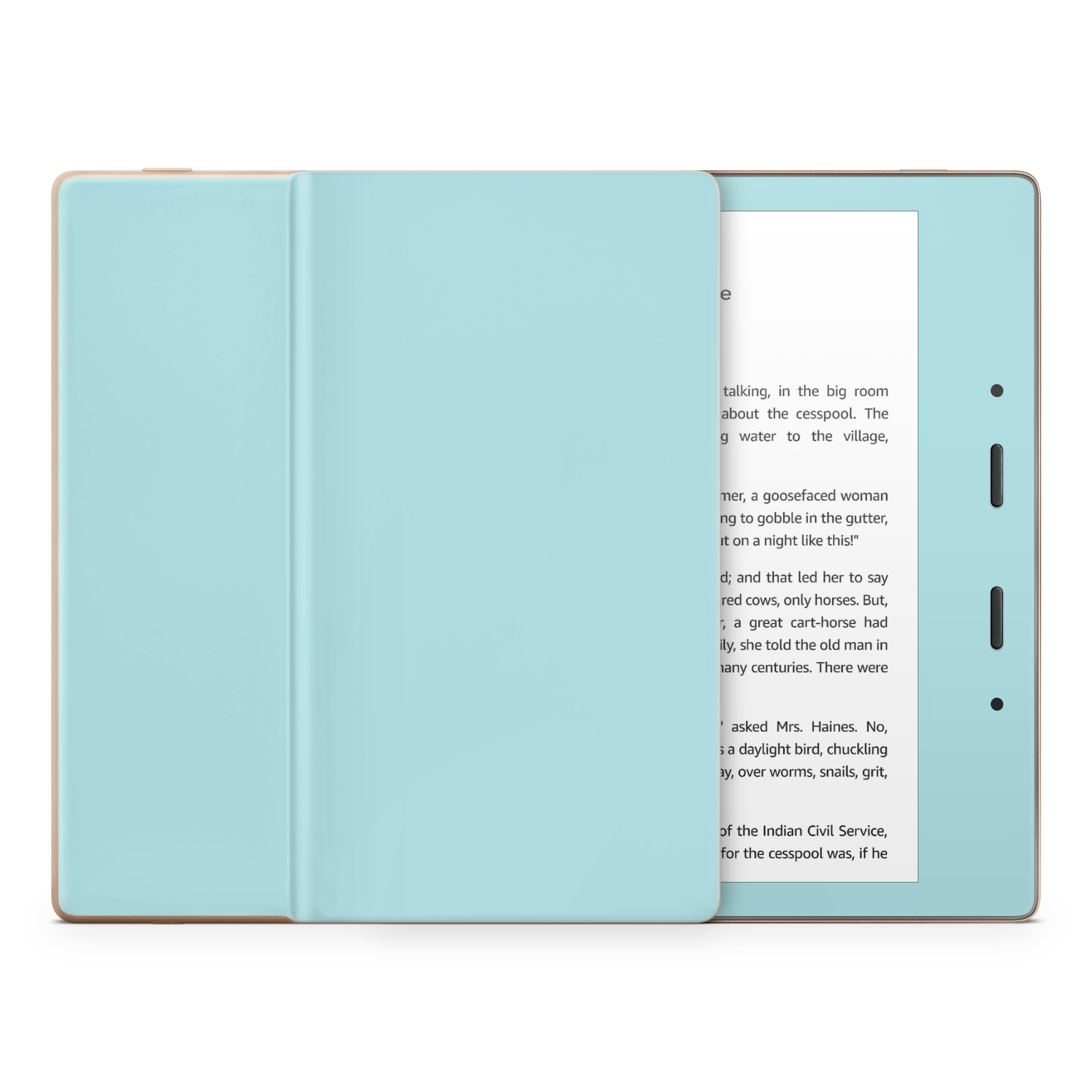 Powder Blue Kindle eReader Skin